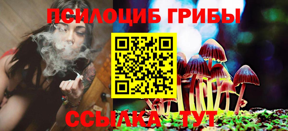 Псилоцибиновые грибы ЛСД  Вход с VPN  Галлюциногенные грибы ЛСД  Железноводск 